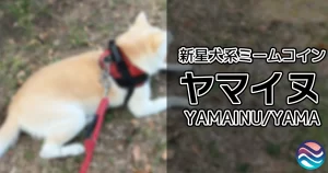 ヤマイヌ(YAMAINU)コインとは?特徴や取引方法を解説【山犬 $YAMA】